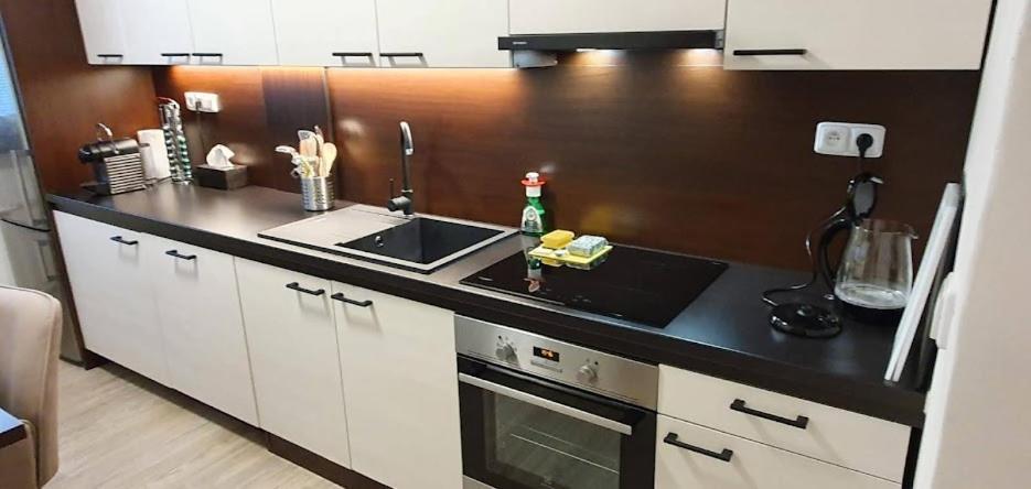 Academic Apartment Brno Dış mekan fotoğraf