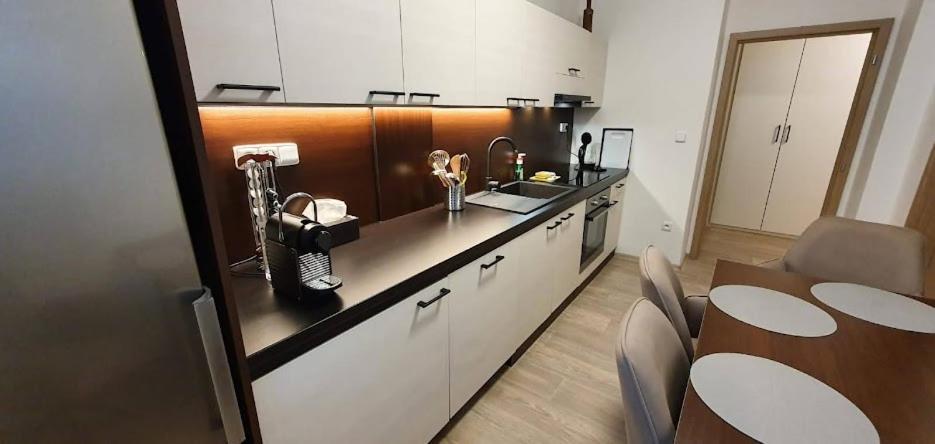Academic Apartment Brno Dış mekan fotoğraf