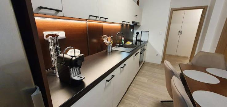 Academic Apartment Brno Dış mekan fotoğraf